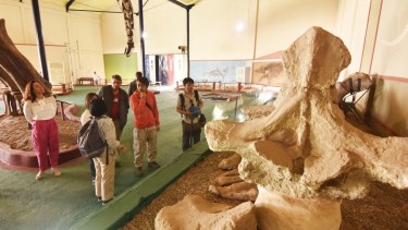 Los realizadores de Francia y de Japón grabaron videos en el museo Carmen Funes (Fotos: gentileza)