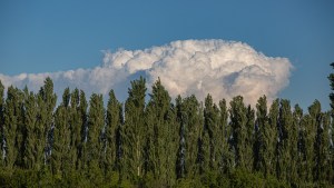 Clima en Río Negro y Neuquén: cuál es el pronóstico del tiempo para hoy