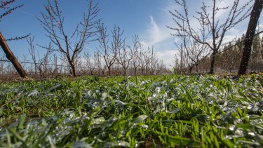 Se esperan jornadas de nubosidad variable y temperaturas agradables en Neuquén y Río Negro. Foto: Juan Thomes.-