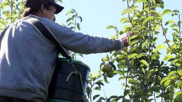 Hace diez días están varados en la terminal de ómnibus de Cipolletti. Piden por trabajo. Foto: Archivo (Juan Thomes).