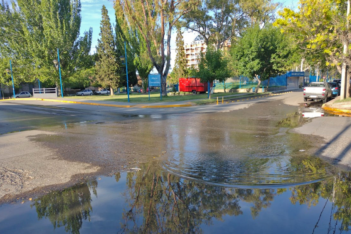 Una importante pérdida de agua genera mal olor y moscas en pleno centro ...