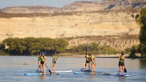 Descubrí la belleza de Paso Córdoba: mirá todo lo que podés hacer en esta área protegida de Roca