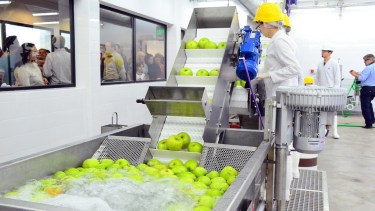 La sidra ya no sólo se consume en las fiestas de fin de año. Una buena noticia para los pequeños y medianos productores. (foto: Néstor Salas)