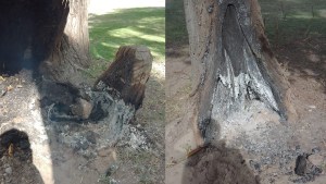 Denuncian que vecinos realizan fuego en sectores no habilitados de la isla Jordán