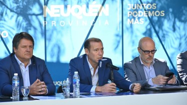 Gutiérrez anunció que las elecciones a gobernador, diputados e intendentes serán el 16 de abril. (Foto Florencia Salto).-