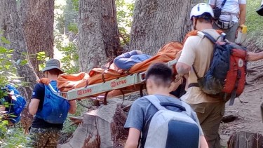 Las lesiones abundan en el parque nacional Nahuel Huapi. Foto: Gentileza.