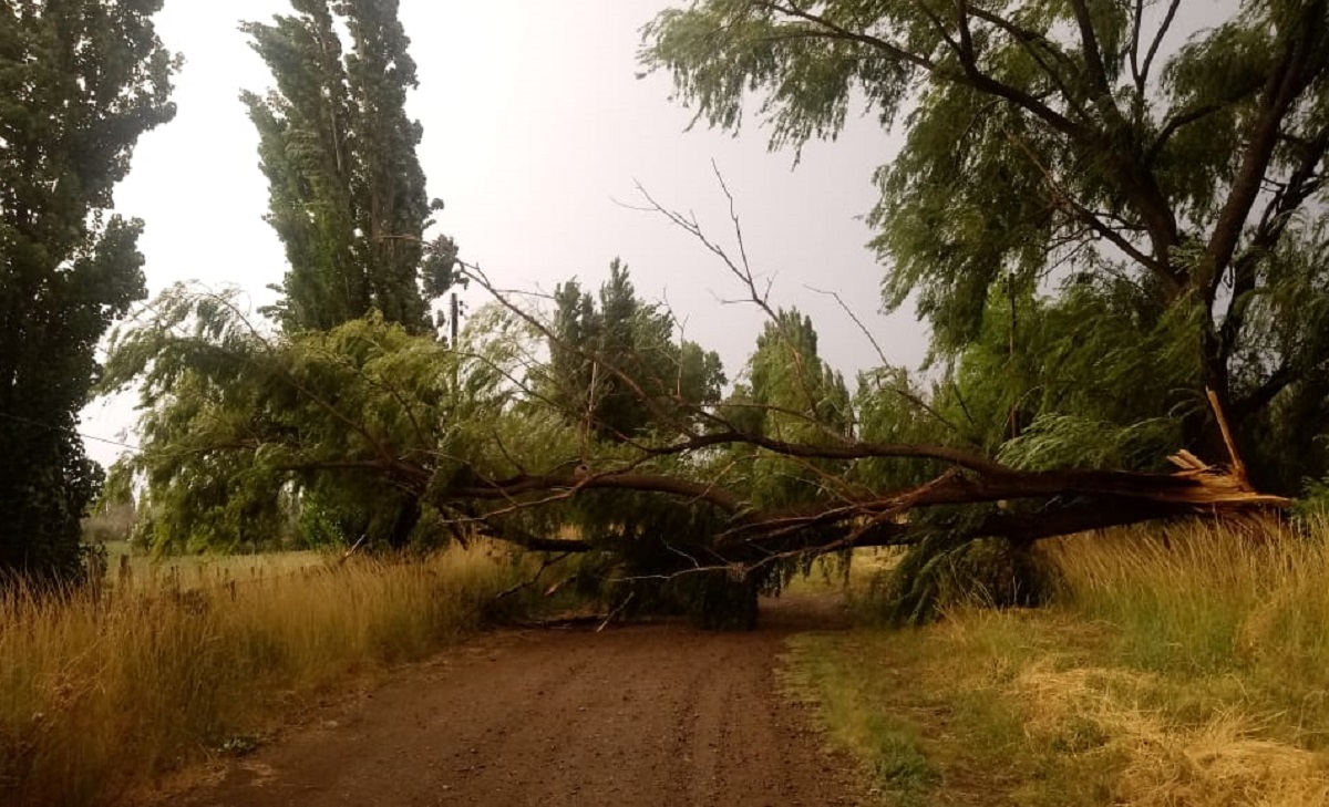 El temporal de viento del lunes por la tarde generó diversos inconvenientes en Conesa.
