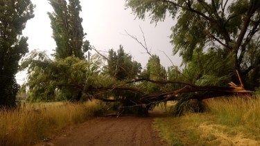 El temporal de viento del lunes por la tarde generó diversos inconvenientes en Conesa.