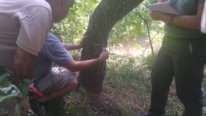 Aparecieron nuevos rastros del puma en el Paseo Costero de Neuquén: instalan más trampas