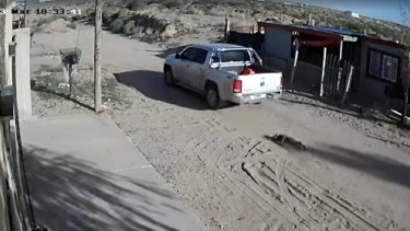 El perro fue arrastrado varios metros.  Foto ilustrativa.