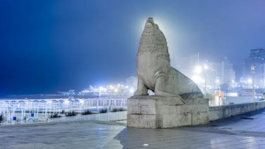 El hecho ocurrió durante los festejos de fin de año en la zona de Playa Grande. Foto gentileza