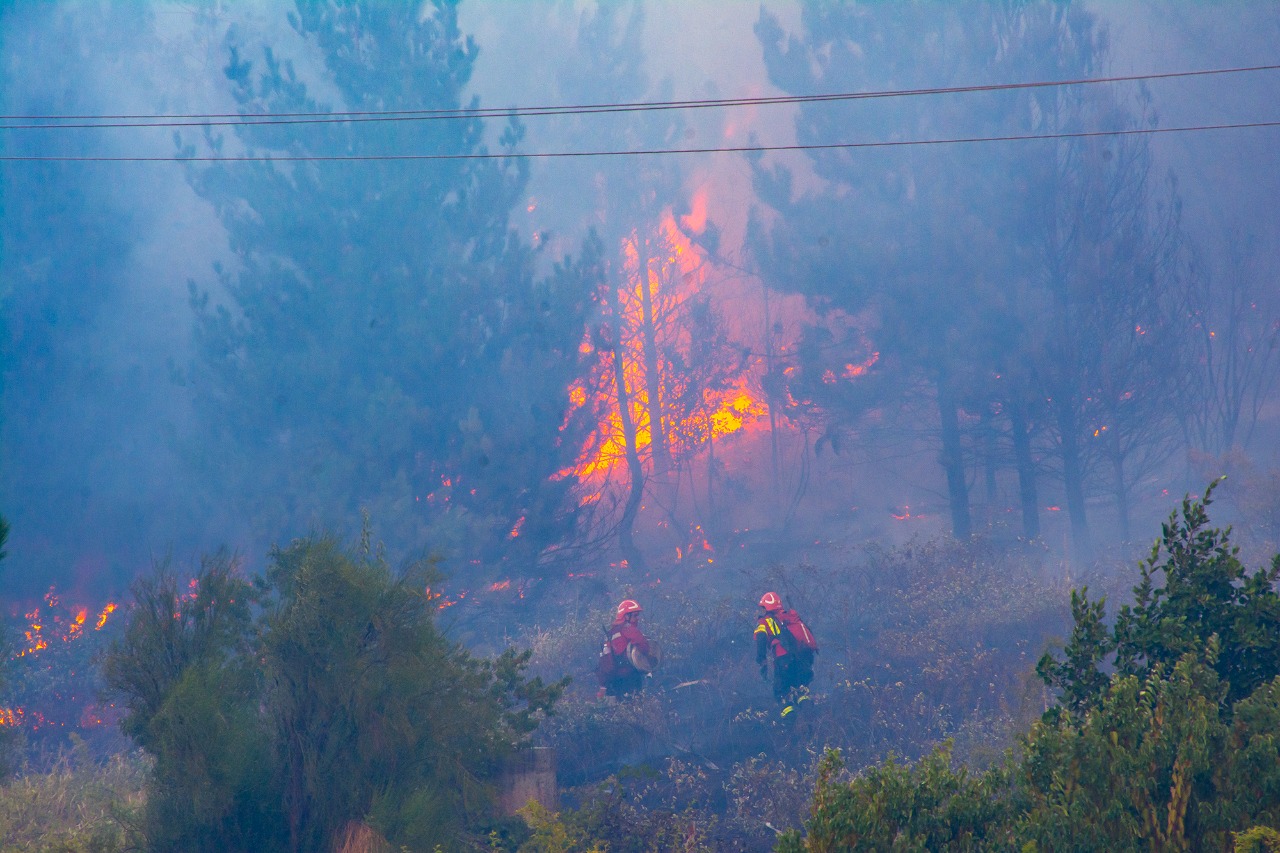 El fuego en la ladera del cerro Currumahuida comenzó antes de las 17 y se propagó rápidamente. Foto: Municipaldad El Hoyo