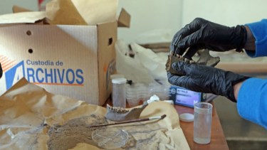 La provincia autorizó que se envíen muestras para conocer la ascendencia de Neuquén. Foto: https://www.neuqueninforma.gob.ar/neuquen-busca-conocer-su-ascendencia/