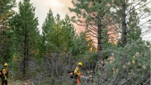 Incendio en Cuesta del Ternero: el fuego está en un perímetro de 20 kilómetros