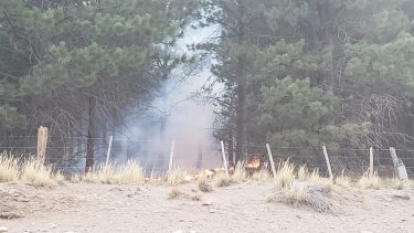 En la jornada de este martes, el incendio había sido controlado pero luego el viento lo reavivó (FM Del Lago)