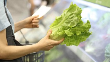 Científicos de la Red de Seguridad Alimentaria del Conicet hicieron una revisión de estudios sobre los patógenos que se detectan en vegetales consumidos en América Latina.-