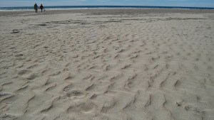 Playas Doradas: cuánto cuesta alquilar en febrero y el finde XXL de carnaval en esta joya de la Patagonia