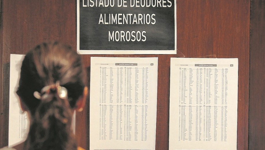 En el 90% de los casos, los deudores son varones, según indicaron desde el gobierno de Neuquén. 