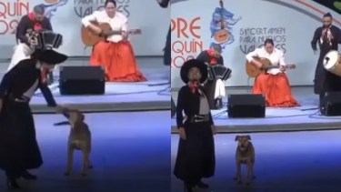 Como corresponde en cada pareja de baile, el malambista Franco Berón saludó a su par canino.-