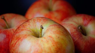 SismoFrutal. La plataforma continúa en desarrollo y adaptación permanente.