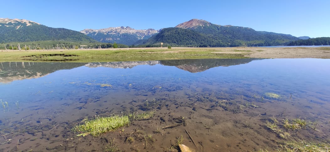 El Quillahue. "El arroyo que se cruza caminando", en lengua mapuche, tal como informa el sitio oficial de Villa Pehuenia Moquehue. Foto: Nico Pollo. 