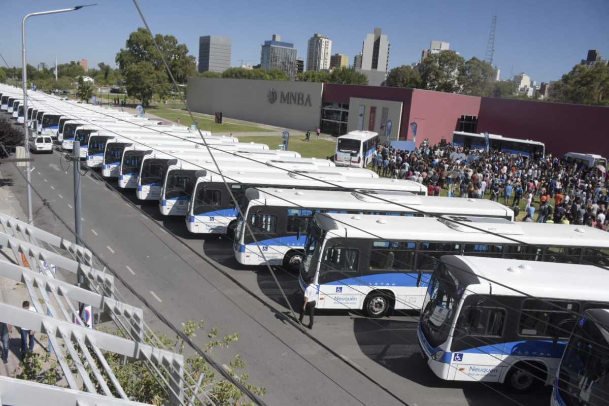 Las unidades se irán sumando al transporte público de forma paulatina y llegarán a 180. (Yamil Regules).-