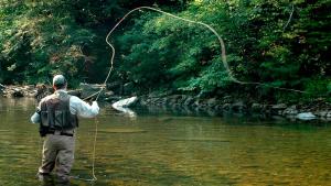 Pesca con mosca: un deporte que gana adeptos en la región