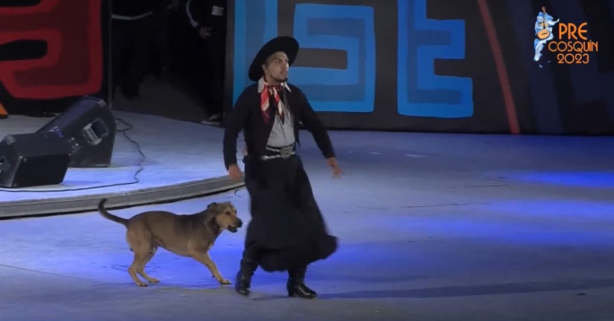 Franco Berón hizo su performance acompañado por "Cielito", un perro muy querido en el escenario de Córdoba.-