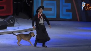 La historia de «Cielito», el perro que «bailó» malambo sobre el escenario del Pre Cosquín 2023