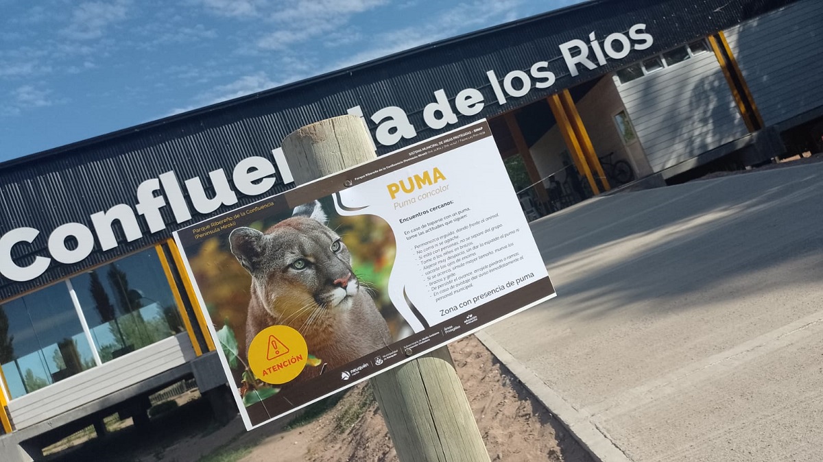 El puma no apareció y por eso se habilitará el ingreso de personas a la Península Hiroki en Neuquén. Foto: Yamil Regules