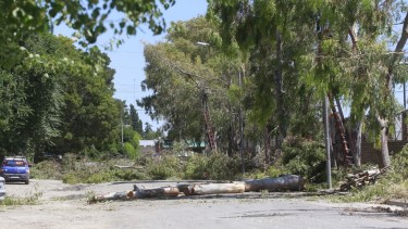 El hecho ocurrió en la calle Malén, del barrio Guido. Foto: Pablo Leguizamon.
