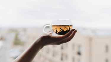 Un libro revela aromas, sonidos y texturas de la ceremonia del té