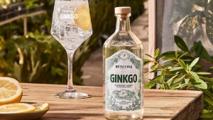 Crean un nuevo gin en Bariloche con botánicos patagónicos y un mensaje de conservación