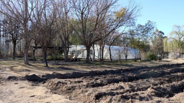 La secretaría de servicios públicos está encargada del mantenimiento de los viveros donde se plantan los árboles. Foto Gentileza.