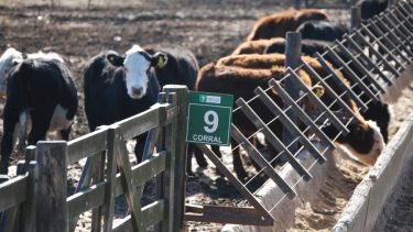 Aseguran que tras la sequía del 2008, el productor adquirió ciertas herramientas. Foto: archivo