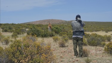 Camarones se encuentra a 1680 kilómetros de Buenos Aires, a 252 de Trelew y a 262 de Comodoro Rivadavia. Fotos y videos: @miguel.maliqueo