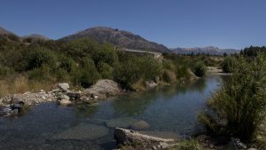 Una iniciativa popular busca recuperar y proteger el arroyo Ñireco en Bariloche
