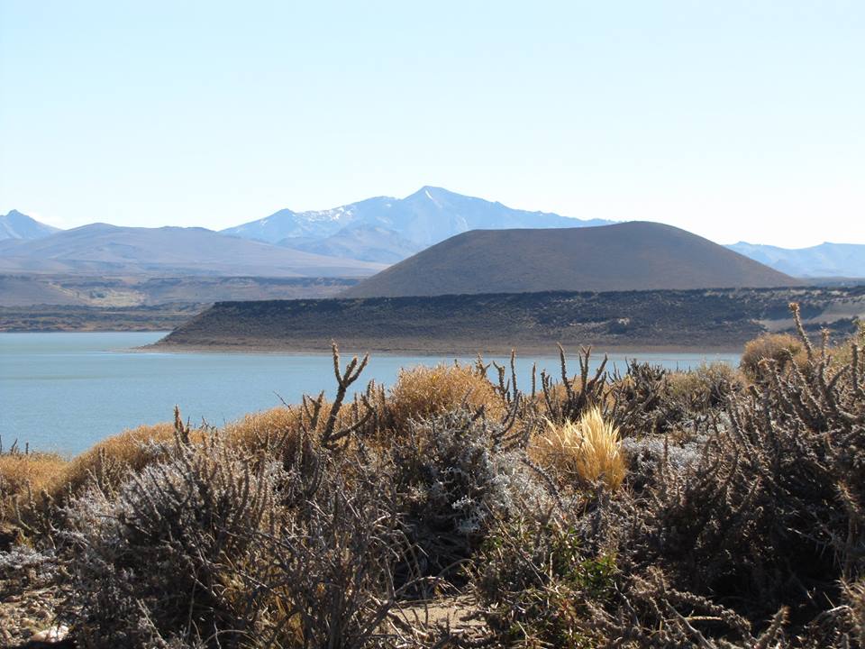 El Parque Nacional Laguna Blanca se creó en 1945 principalmente para proteger las aves acuáticas migratorias.