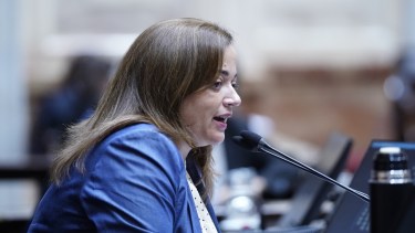 La presidenta de la Cámara de Diputados, Cecilia Moreau. 