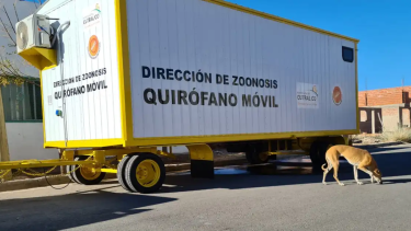 Cutral Co: el quirófano móvil en los barrios. (Foto: archivo)