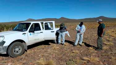 El operativo se realizó entre el Ministerio de Producción e Industria, el de Salud, SENASA y la Dirección de Fauna. Foto: Gentileza.