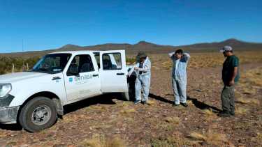 Gripe aviar: Neuquén confirma su segundo caso, esta vez fue en San Patricio del Chañar 