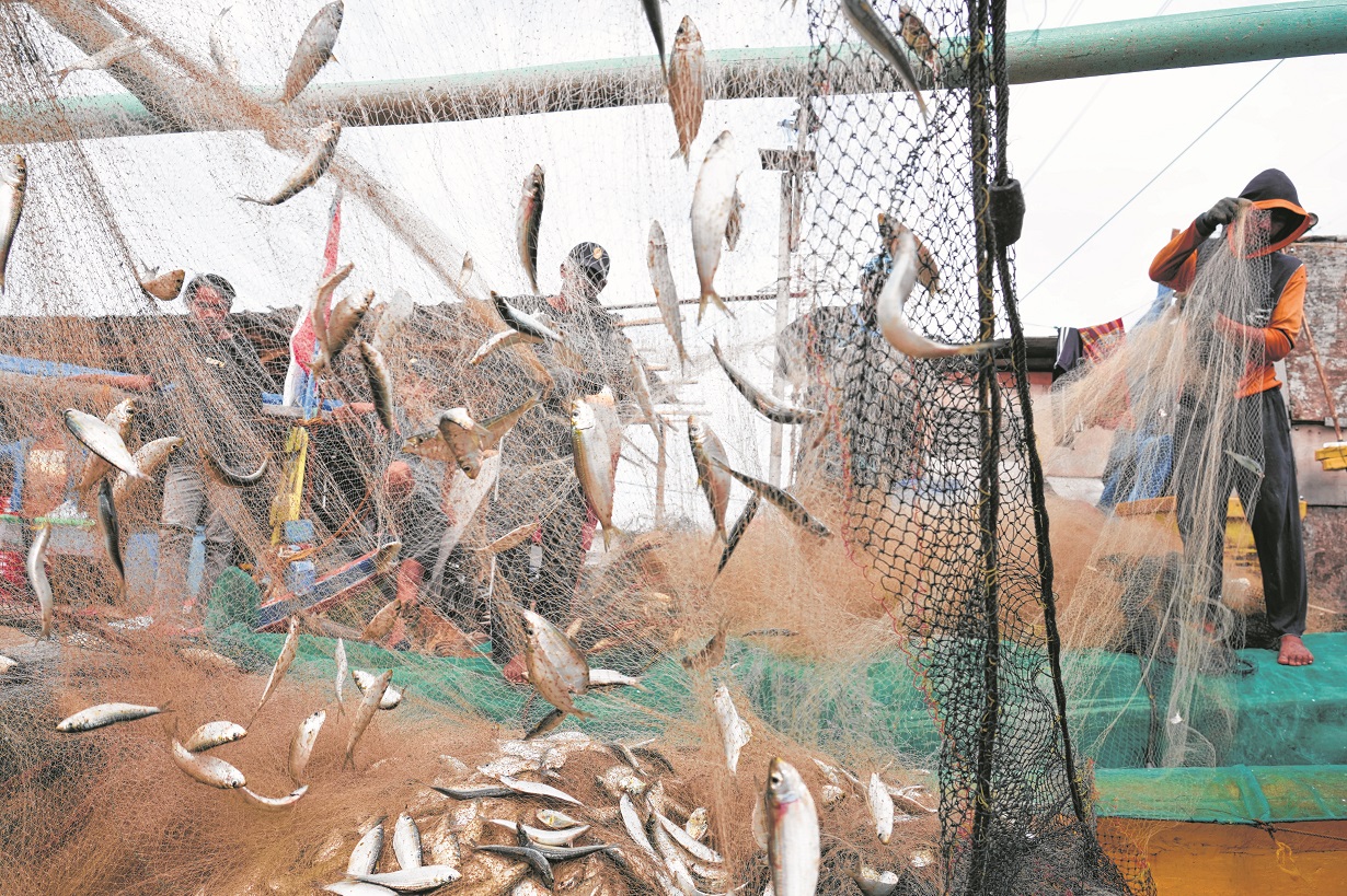 Los pescadores retiran su captura de las redes después de regresar a la costa en Yakarta, Indonesia, el 24 de febrero de 2022. La corrupción está socavando la gestión de algunos de los caladeros  (AP Photo/Achmad Ibrahim, File)