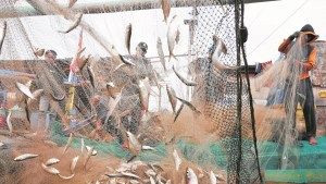 La corrupción depreda las zonas pesqueras más amenazadas del planeta