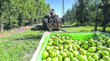 Trabajadores rurales alcanzaron un aumento del 210%, pero empacadores siguen sin acordar salarios