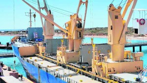 Ya no es lo que era: la fruticultura busca hacer pie en medio de un escenario complejo