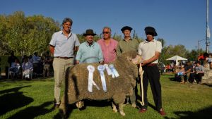 Récord: el Campeón Supremo se vendió en $1.5 millones en “rural” de Maquinchao