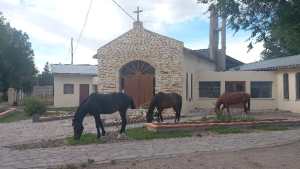 Jacobacci: multarán a propietarios de caballos que deambulen por la vía pública