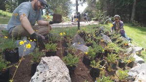 Cervecería de Bariloche suma la experiencia de cultivar plantas nativas en su predio: para imitar