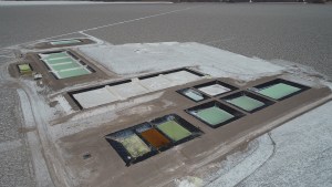 Litio: por qué Argentina no debe replicar el modelo mexicano